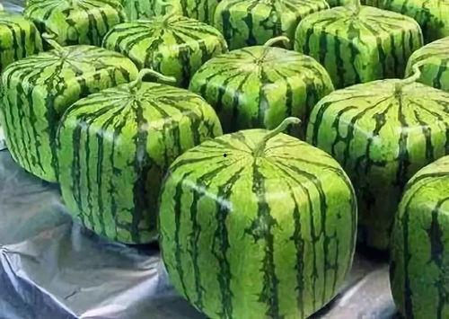 吃瓜出自哪里,从网络流行语到社会现象的演变