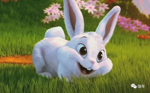 别圈吃瓜兔,揭秘网络舆论背后的真相与反思