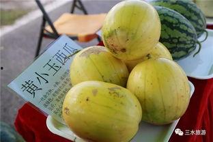 吃瓜协会是什么,网络热词背后的文化现象与社交趋势