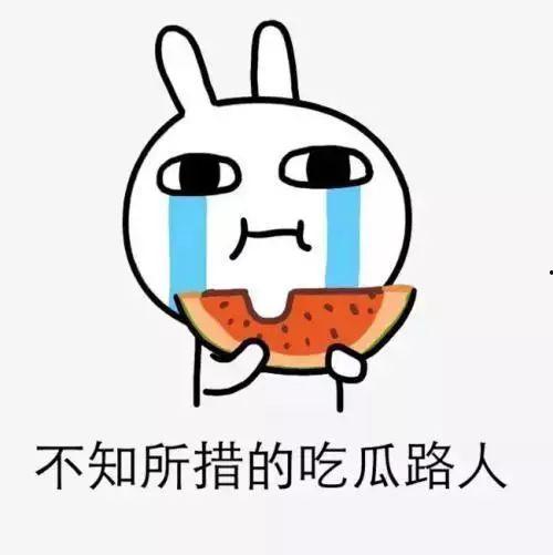 吃瓜协会是什么,网络热词背后的文化现象与社交趋势