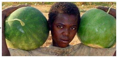 非宇吃瓜,揭秘娱乐圈幕后真相