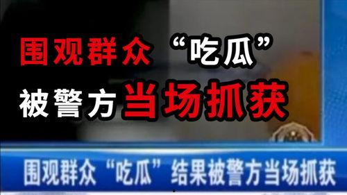 围观吃瓜系统小说,揭秘围观背后的秘密