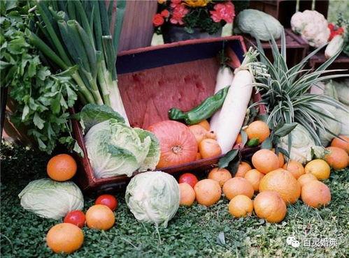 来宾市吃瓜,品味夏日甜蜜时光