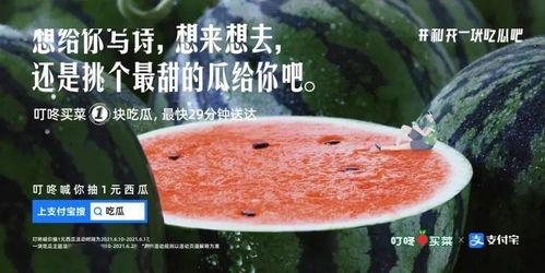 楼顶吃瓜文案,揭秘生活百态