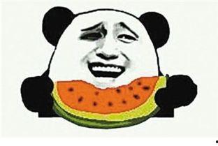 吃瓜群众瓜哥奇葩作业,揭秘吃瓜群众的另类学习日常