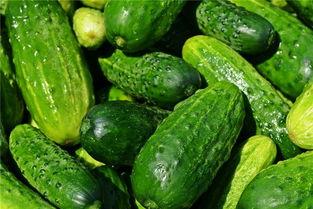 梦到少年吃瓜,一场奇妙的吃瓜之旅