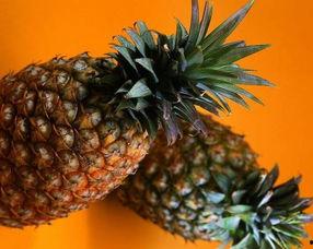 晚间8点吃瓜,瓜田里的新鲜事儿