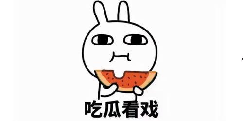 吃瓜感人片段素材,揭秘吃瓜群众的感人瞬间