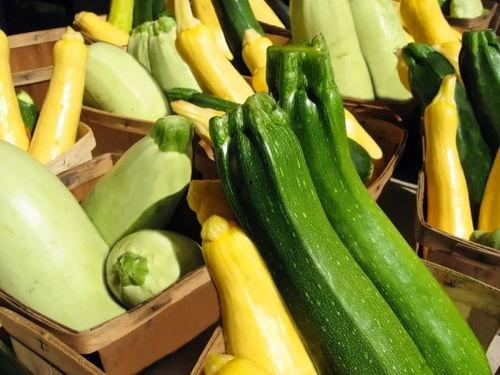 吃瓜平台有哪些,盘点各大热门吃瓜阵地