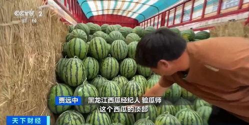 吃瓜平台有哪些,盘点各大热门吃瓜阵地