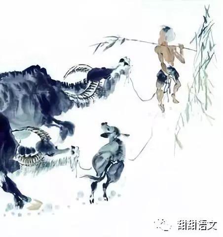 牧童说吃瓜,夏日消暑新风尚