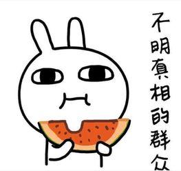 午休吃瓜文案搞笑,笑料横生，瓜皮飞舞！