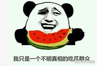 吃瓜事件图片,吃瓜群众视角下的娱乐圈风云录