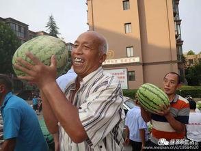 吃瓜现场事件,揭秘娱乐圈幕后真相