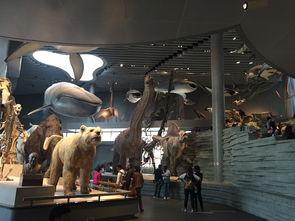 博物馆吃瓜吃雕塑