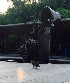 博物馆吃瓜吃雕塑