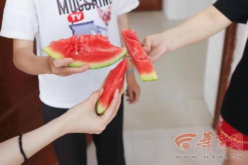 咸阳财校吃瓜,揭秘校园里的“瓜田”风云