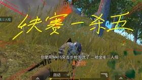 吃鸡呱呱瓜,揭秘游戏中的神秘果实