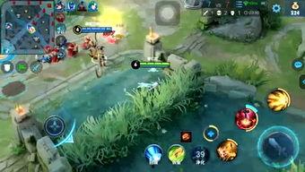 吃鸡呱呱瓜,揭秘游戏中的神秘果实