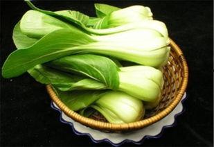 吃茭瓜的作用,润肠通便，养生保健的绿色佳品