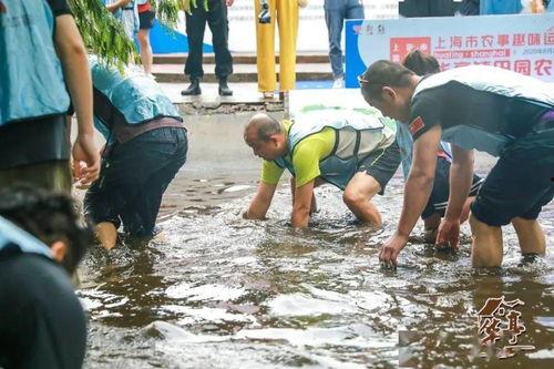摸鱼吃瓜项目组,揭秘职场休闲新风尚