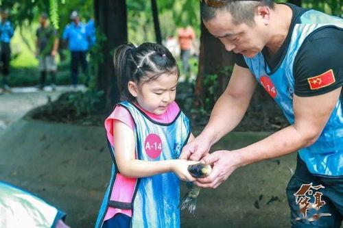 摸鱼吃瓜项目组,揭秘职场休闲新风尚