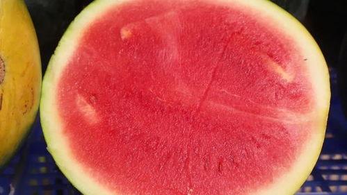 小仙吃瓜,揭秘娱乐圈那些不为人知的幕后故事