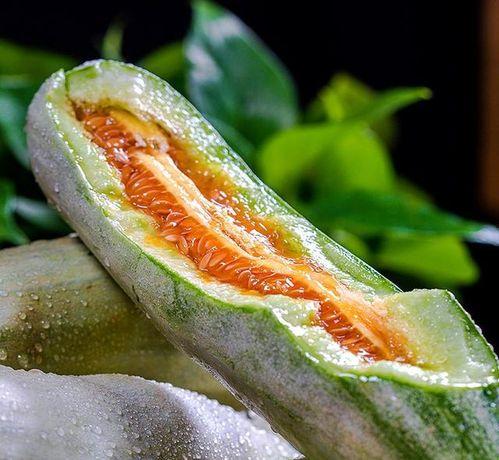 吃博洋9号瓜会胃寒吗,胃寒风险揭秘