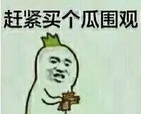 吃瓜群众蒋先生