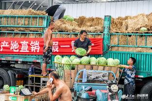 日照中介吃瓜,揭秘吃瓜背后的行业真相