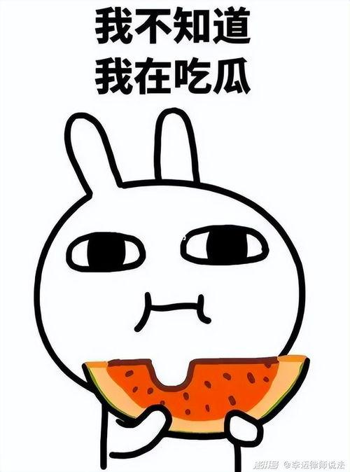 吃瓜小飞酱,揭秘娱乐圈那些不为人知的幕后故事