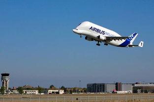 看飞机吃瓜,看飞机吃瓜，体验云端休闲时光