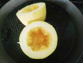 绞瓜什么季节吃,尽享绞瓜清凉美味