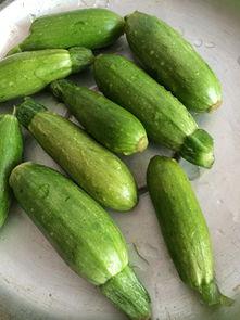 角瓜怎么吃,探索角瓜的多样美味