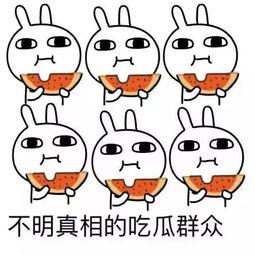 吃瓜哭的时候,揭秘吃瓜哭的奇妙心理现象