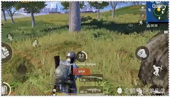 和平精英熊猫吃瓜,揭秘和平精英背后的趣味故事