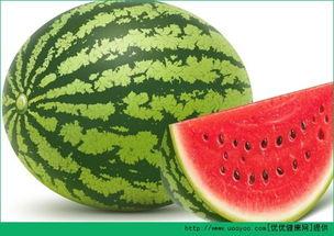 吃一晚瓜,一晚瓜的奇幻之旅