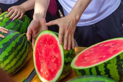 吃瓜学院的专业,揭秘娱乐圈幕后真相与趣味故事