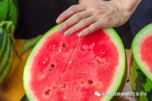 吃瓜学院的专业,揭秘娱乐圈幕后真相与趣味故事