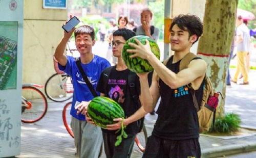 吃瓜学院的专业,揭秘娱乐圈幕后真相与趣味故事