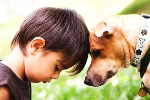 吃瓜狗十三解说