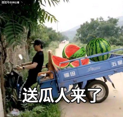 吃瓜拍照文案,趣味吃瓜瞬间，记录生活美好瞬间