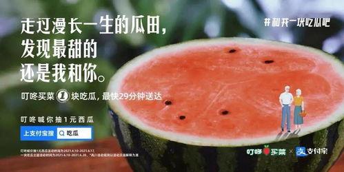 吃瓜拍照文案,趣味吃瓜瞬间，记录生活美好瞬间