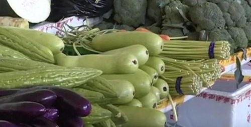 杨瓜不能和什么一起吃,揭秘不能与哪些食物同食